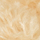 Farbicon beige