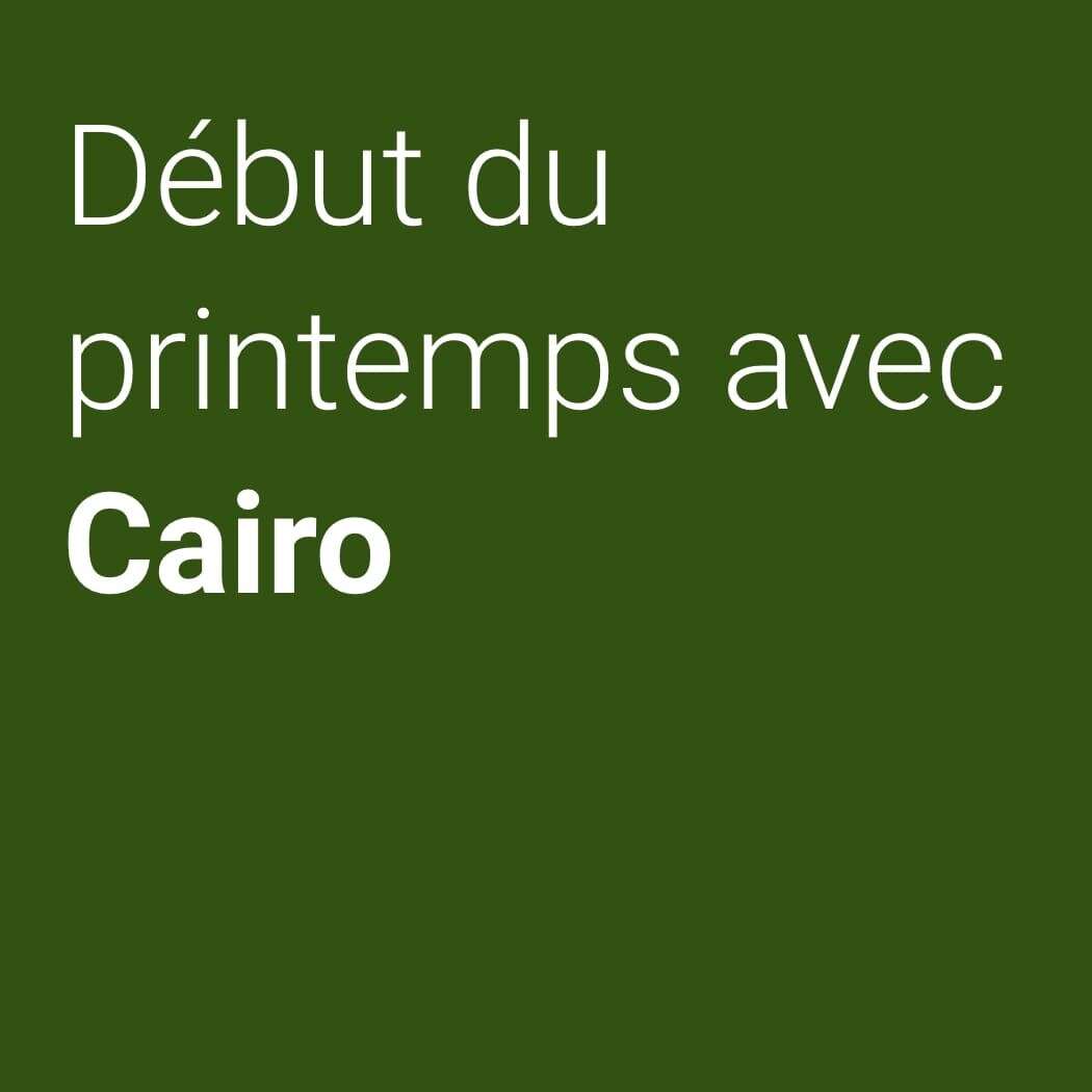 Début du printemps avec Cairo