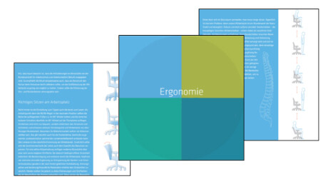 Guide de l'ergonomie au poste de travail Guide de l'ergonomie au poste de travail