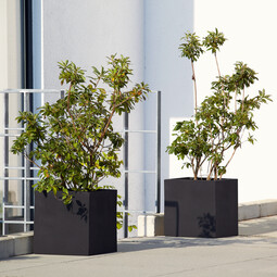 Blumentopf Stonefiber Pot „Der Kubische“ 