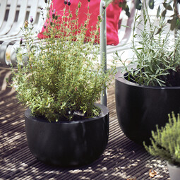 Blumentopf Stonefiber Pot „Die Schale“ 