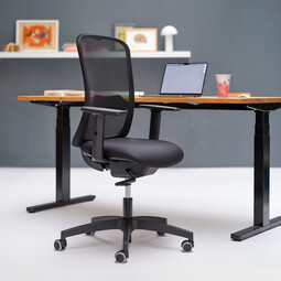 Bürodrehstuhl mit Armlehnen Takk 