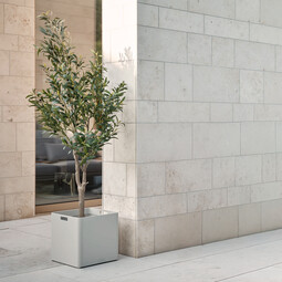 Stern Pflanzgefäß kubisch 