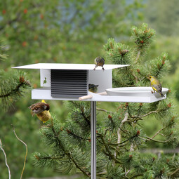 Vogelhaus mit Vogeltränke Vogelimbiss 