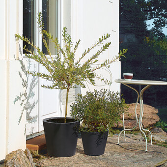 Blumentopf Stonefiber Pot „Der Runde“ 