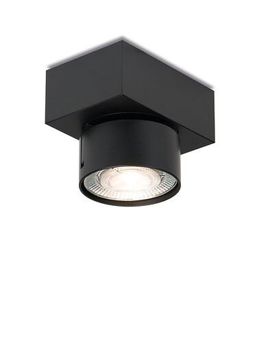 Plafonnier LED en saillie Wittenberg 4.0 1 spot | noir mat