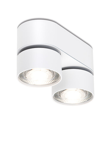 Plafonnier LED en saillie Wittenberg 4.0 Jumelles