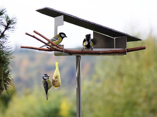Cabane-snack à oiseaux