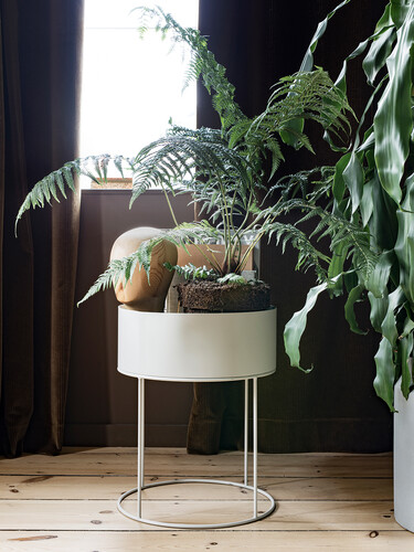 grounded plant Plant Pick main image 0