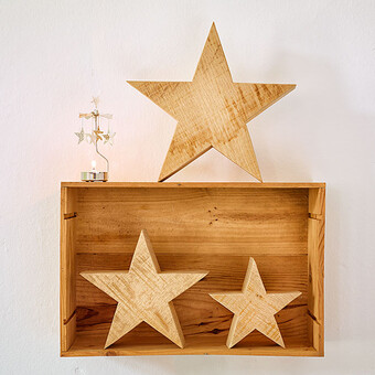 Décoration de Noël Stella 