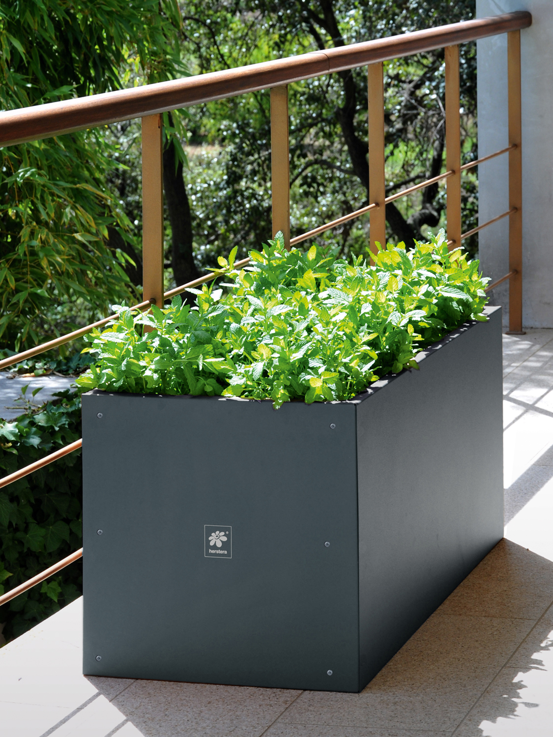 Herstera • Metal Urban Garden jardinière – en stock ! | cairo.fr