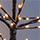 Farbicon alextree_color
